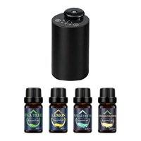 Diffuseur d'huiles essentielles en métal sans eau - Comprend 4x10ml d'huiles, purificateur d'air, aromathérapie, faible bruit 35dB, utilisation automobile et domestique