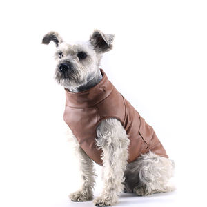 Veste en cuir PU <span class=keywords><strong>pour</strong></span> chien <span class=keywords><strong>imperméable</strong></span> été Style classique tenue chaude <span class=keywords><strong>pour</strong></span> animaux de compagnie <span class=keywords><strong>pour</strong></span> <span class=keywords><strong>Yorkshire</strong></span> Terrier Chihuahua chiot vêtements - Product Image 6