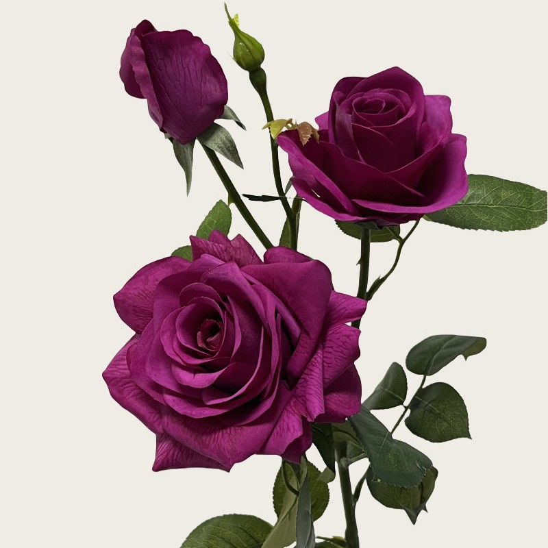 3-head hibiscus rose-rose red