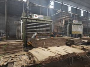 Contrachapado de alta calidad con núcleo de madera dura y chapa de abedul para construcción y muebles, superficie lisa, sin delaminación, de fábrica en Vietnam. - Product Image 6