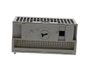 Technologie LANSI PLC pour <span class=keywords><strong>Allen</strong></span> Bradley 1794-OA16 - Product Image 3