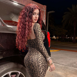 Abito da donna a maniche lunghe in poliestere ed elastan, stile socialite, con stampa leopardata, novità primavera estate autunno, bestseller - Product Image 1