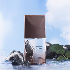 Parfum pour homme de marque originale, frais, longue durée, parfum de luxe, fournisseur d'usine, Cologne de haute qualité, parfum boisé pour homme - Product Image 5