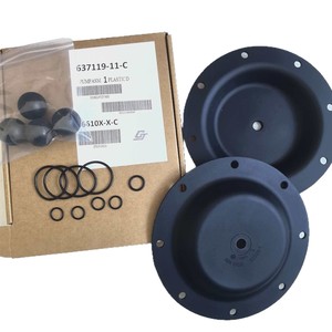 Kit de réparation et de service pour ensemble de pompe à air Ingersoll Rand 637119-62-C 1 pouce - Product Image 5