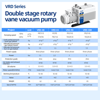Pompe à vide rotative à deux étages VRD-16 compacte, filtration efficace, fonctionnement silencieux, construction en acier personnalisable OEM