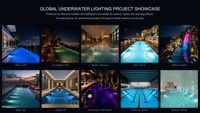 Lampu Kolam Renang LED RGB untuk PC, Tahan Air IP68, Baja Anti Karat, Lampu Kolam Tersembunyi, Kabel Karet 1.5M, Harga Pabrik