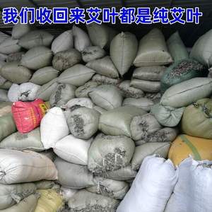 Premium dipilih tangan daun <span class=keywords><strong>Mugwort</strong></span> liar yang dipilih dengan cermat & berumur tiga tahun bahan Herbal alami untuk perawatan kaki yang efektif - Product Image 4