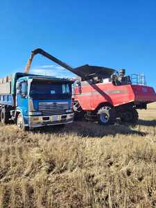 Hiệu suất tốt 100hp-260hp gạo gặt đập liên hợp gặt đập lúa mì gặt đập để bán - Product Image 2