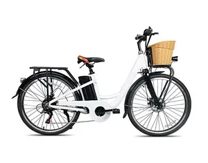 26 Inch 36V 250W Japanese Electric Bike Best Price