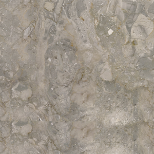 Azulejos Decorativos de Mármol Beige Royal Oyster de Primera Calidad, Diseño Moderno Antideslizante para Azulejos de Baño - Product Image 4