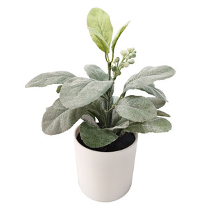 Florero DE BODA Decoración Hojas de dinero Plantas artificiales Hojas de eucalipto Hoja verde Simulación artificial Plantas verdes Plantar - Product Image 3