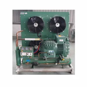 Bitzer-compresor de refrigeración de almacenamiento en frío, unidad de refrigeración de aire de pistón semicerrado de baja temperatura, China