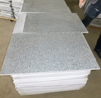 Revêtement mural et carreaux de sol en granit gris clair G603 pour l'extérieur, îlot de pierre naturelle en granit
