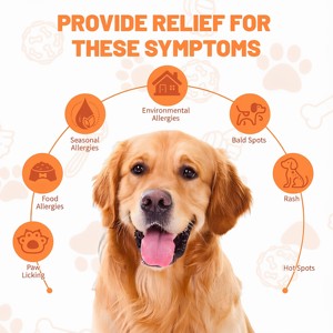 Friandises à Mâcher Tendres <span class=keywords><strong>pour</strong></span> Chiens : Soulagement des Allergies, Probiotiques, Soutien Immunitaire, <span class=keywords><strong>Santé</strong></span> Intestinale, Sans Arômes Artificiels <span class=keywords><strong>pour</strong></span> Peaux et Oreilles Irritées, 90 unités, Soins de <span class=keywords><strong>Santé</strong></span> - Product Image 4
