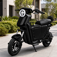 Motocicleta Eléctrica al por Mayor con Motor de 1200W, Ruedas de 14 Pulgadas, Velocidad Máxima de 55 km/h, Autonomía de hasta 140 km, Asiento Doble para Desplazamientos