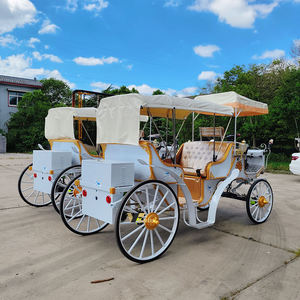 Charrette Électrique Certifiée CE pour le Transport en Parc, Chariot de Luxe à Double Rangée pour Visites Touristiques Européennes à Vendre - Product Image 6