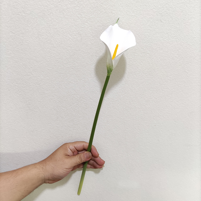 blanc YL80450-2
