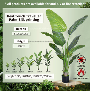 Xu Hướng <span class=keywords><strong>2025</strong></span> Sang Trọng Trong Nhà Trang Trí Nội Thất Nhân Tạo Chuối Cây Cọ Hiện Đại Màu Xanh Lá Cây Nhà Máy Thân Thiện Với Môi Giả Nhà Máy Trang Trí Nội Thất - Product Image 2