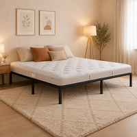 JULEI DJ-PK23 Cadre de lit en acier pour lit Queen, Twin, Full, Double, base plateforme métallique, portable