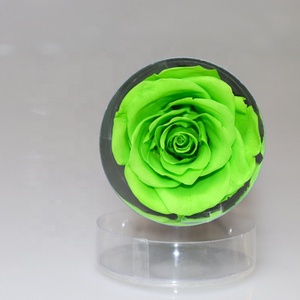 Bán Buôn Một Lớp Eternity Hoa Hồng Màu Đỏ Bảo Quản Hoa Với Thân Dài - Product Image 6