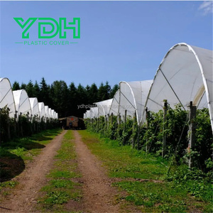 Grande serre de 9x30m à faible coût, kits de cadre galvanisé à chaud à plusieurs travées, couverture de film de toit <span class=keywords><strong>en</strong></span> PVC, <span class=keywords><strong>abri</strong></span> de pluie pour la culture de bleuets PE - Product Image 5