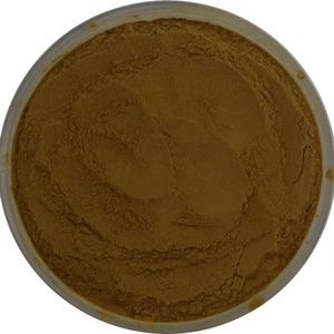 Suplementos de Café con Hongos Adaptógenos de Marca Privada, Potenciadores Nootrópicos Cerebrales, Polvos de Grado Alimenticio en Bolsas o Envases de Tambor - Product Image 5