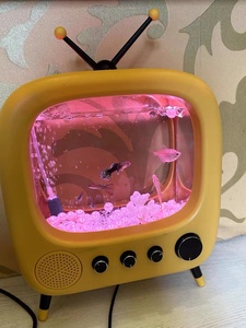 <span class=keywords><strong>Mini</strong></span> aquarium USB avec pierres et matériaux acryliques, éclairage inclus, pour la maison ou le bureau, pour chat - Product Image 6