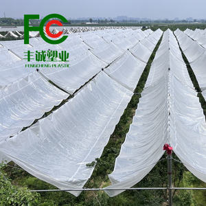 Couverture de verger agricole de qualité supérieure <span class=keywords><strong>pour</strong></span> la protection contre la pluie de cerises meilleure bâche de film plastique de <span class=keywords><strong>serre</strong></span> <span class=keywords><strong>pour</strong></span> raisins fraises - Product Image 5