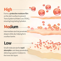 Sérum Booster PDRN pour la Peau, Hydratant, Raffermissant, Réparateur, Non-injectable, Haute Qualité, Usage Personnel, Sérum Visage