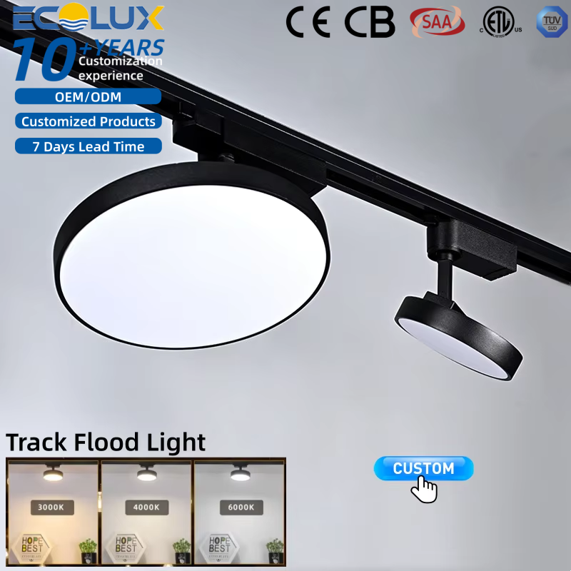 Ecolux CE ETL SAA Commercial Indoor