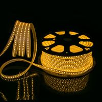 Tira de Luz LED de Alto Voltaje SMD2835 de 50M, IP65 Impermeable, 100lm/w, AC220V, Flexible, de PVC, con Control Remoto, Enchufe US/EU/UK