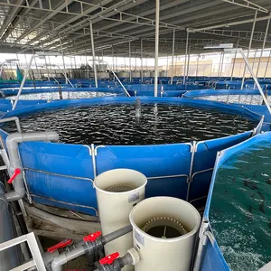 As empresas de agricultura de peixes da china, equipamento de agricultura cantão, sistema de aquacultura circulante