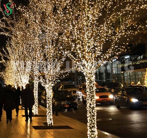 DC12V <strong>LED</strong> <strong>String</strong> Fairy <strong>Light</strong> for Christmas Tree Decoration - Product Image 4