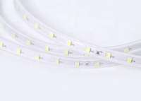 Vente en gros de bandes lumineuses LED haute tension 110V 220V SMD 2835 étanches à LED IP65 pour centres commerciaux décorations pour la maison