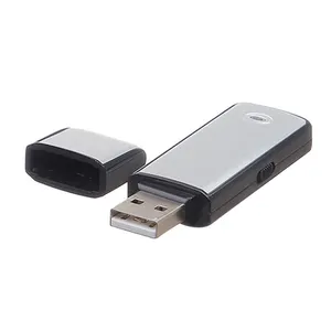 Groothandel Mini Draagbare Usb Voice Recorder 4Gb 8Gb 32Gb Geheugen Usb Flash Disk Ultra-Draagbaar Opslagapparaat Met Indicatielampje