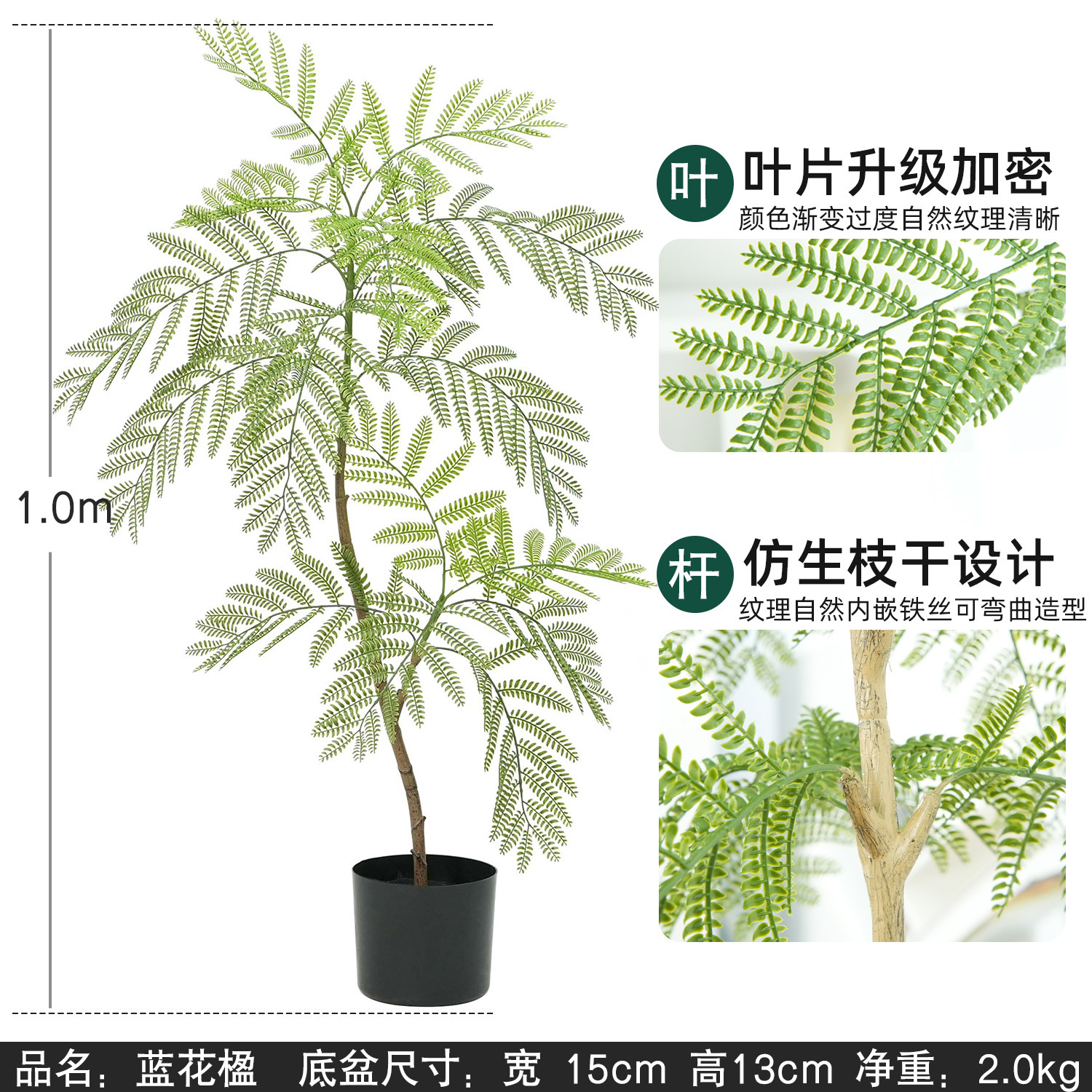 jacaranda 110 cm