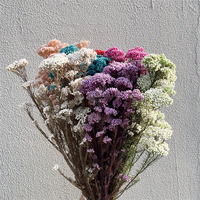 Fleurs de riz naturelles préservées, tiges de Limonium séchées pour bouquets de mariage, décorations d'arche et de table