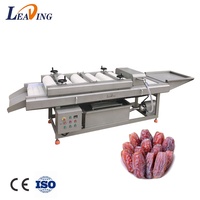 Sdleading Automatische Borsteltype Dadels Fruit Polijstmachine Wassen