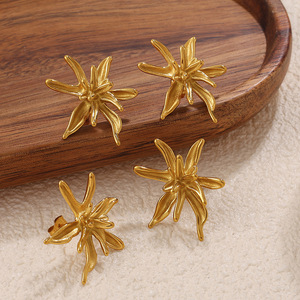 Boucles d'oreilles clous en acier inoxydable plaqué or 18 carats, design irrégulier pour femmes - Product Image 2