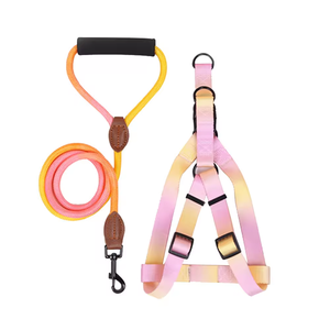 Gradient Polyester Designer Wholesale Pet <b>Dog</b> Leash and Harness Custom <b>Dog</b> Harness Set - Product Image 3
