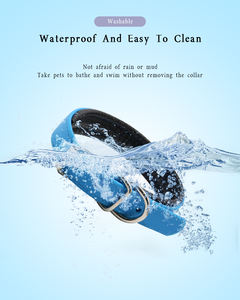 Duurzame <span class=keywords><strong>Eva</strong></span> Plastic Halsband Met Gewatteerde Pvc Gesp Waterdichte Linten Meerdere Kleuren Solide 2-5 Dagen Groothandel - Product Image 5