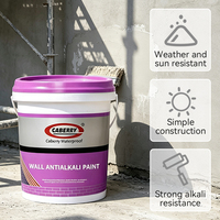 Apprêt anti-alcalin de qualité supérieure, apprêt mural professionnel pour surfaces en maçonnerie, béton et ciment, avec peinture de qualité supérieure