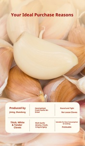 [Usine] Shandong Ail cru Fruit moyen 0.50kg Ail <span class=keywords><strong>en</strong></span> tranches séché Source <span class=keywords><strong>de</strong></span> gros <span class=keywords><strong>de</strong></span> qualité peau blanche - Product Image 6