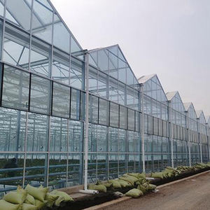 Estructura de Invernadero de Vidrio Grande para Vegetales, Flores y Frutas - Uso Agrícola Multi-Span y para Restaurantes Ecológicos - Product Image 5