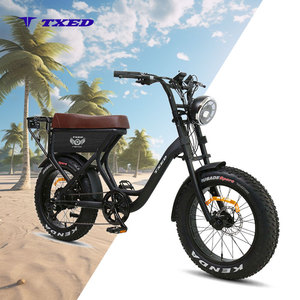 Bicicleta Eléctrica para Mujer con Cuadro Soldado de 20 Pulgadas, 7 Velocidades, Motor de 48V 250W, Llanta de 20"x4.0 para Mayor Ligereza - Product Image 1