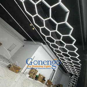 Gaonengo kısılabilir Led garaj atölyesi altıgen aydınlatma araba Showroom Panel AYDINLATMA - Product Image 1