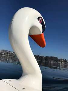 Polyéthylène de haute qualité (fibre de verre) traité avec <span class=keywords><strong>bateau</strong></span> à pédales Flamingo avec glissière incurvée en fibre de verre modèle de <span class=keywords><strong>bateau</strong></span> à pédales Flamingo - Product Image 2