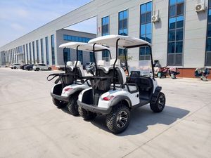 Voiturette de golf électrique, quad, véhicule de loisirs et de tourisme, batterie lithium 72V, moteur 35000W/5000W, certifié CE, 1-2 places, 30-50 km/h - Product Image 3