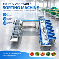 Zware-duty sorteermachine met antislip transportband voor het hanteren van bulk groente- en fruitmaterialen