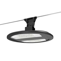 Lampadaire suspendu sans poteau 120W avec câble, certifié Zhaga-D4i